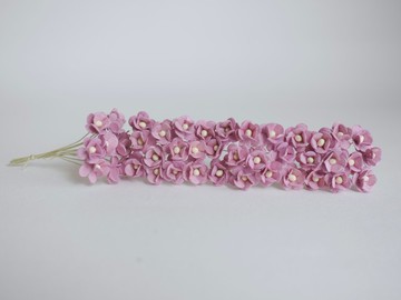 紙花，耗材，100 件。加拿大銀蓮花，尺寸1.5厘米，梅子色