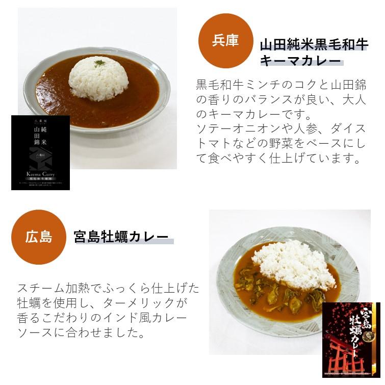 ご当地カレー 黒 パッケージ バラエティー 人気 カレー 常温 食べ比べ 中辛 景品 非常食 まとめ買い 備蓄 贈り物 お取り寄せ 2023 食べ物