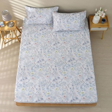 雙人床包枕套組/美國棉授權品牌 300織/ 艾菲亞 [鴻宇] 台灣製 - 2393