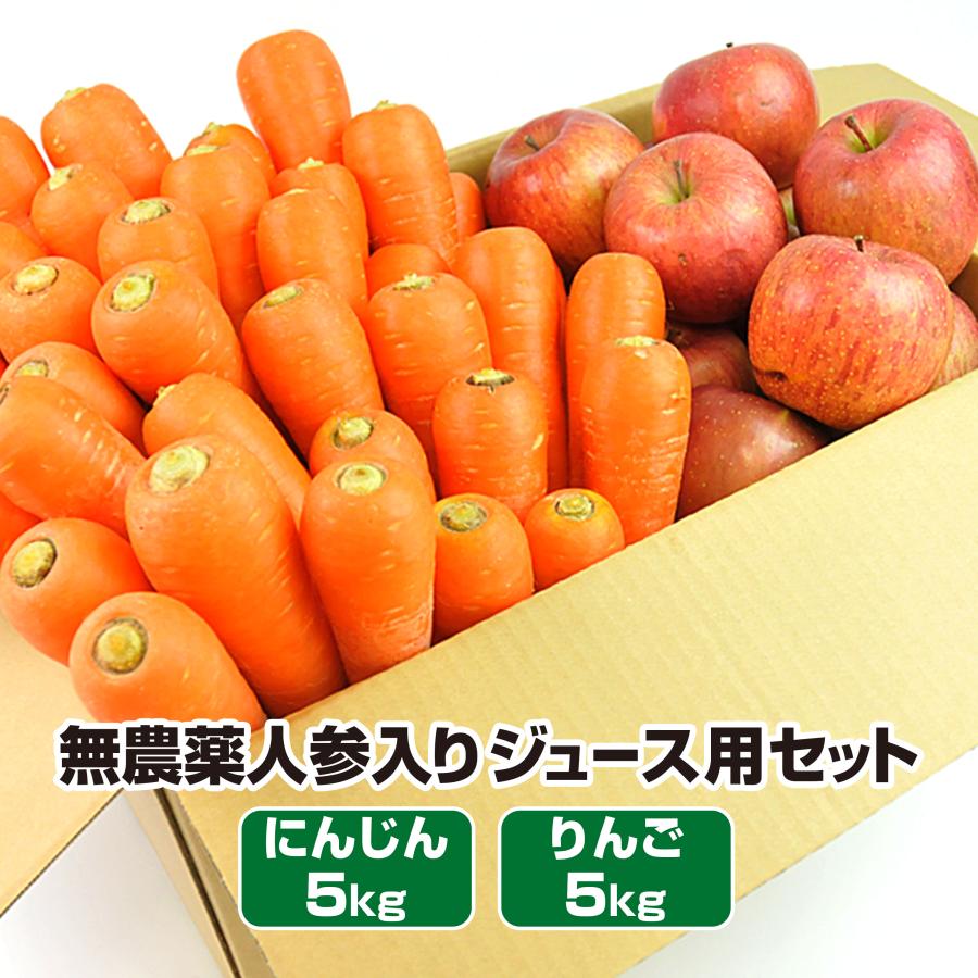 人参 無農薬にんじん 野菜セット 無農薬野菜 にんじんジュース ジュース用  にんじん5kg＋りんご5kg ゲルソン療法にも最適 訳あり