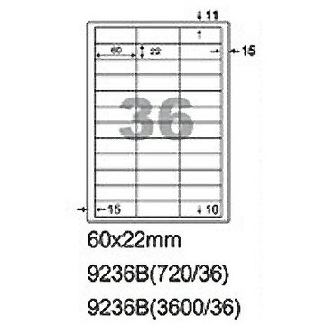 【文具通】阿波羅9236B影印自黏標籤貼紙36格60x22mm P1410368【APP滿額下單4%點數(單一帳號最高1500點)】5/31止