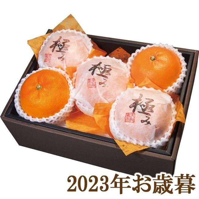 お歳暮ギフト2023年『ダイワ果園 愛媛県産 紅まどんな 約1.2kg(5〜6玉)』(代引不可)