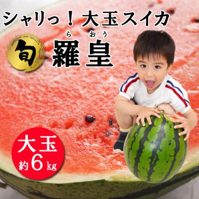 ふるさと納税 南島原市 シャリっと爽快!夏の大玉スイカ 「羅皇」 1玉