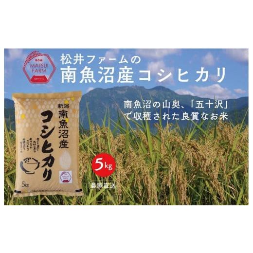 ふるさと納税 新潟県 南魚沼市 令和5年産南魚沼産コシヒカリ（5kg×6回)