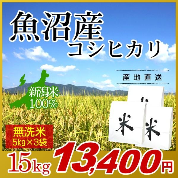 魚沼産 コシヒカリ 無洗米 15kg(5kg×3袋)／新米 米 お米 新潟米 新潟 コシヒカリ 白米 精米 南魚沼産 魚沼 高級米 ブランド米