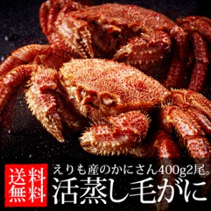 お歳暮 ギフト えりも産 活蒸し毛がに かに カニ 毛カニ 毛ガニ 送料無料 メーカー直送 冷凍便 包装紙・代引き不可 誕生日プレゼント