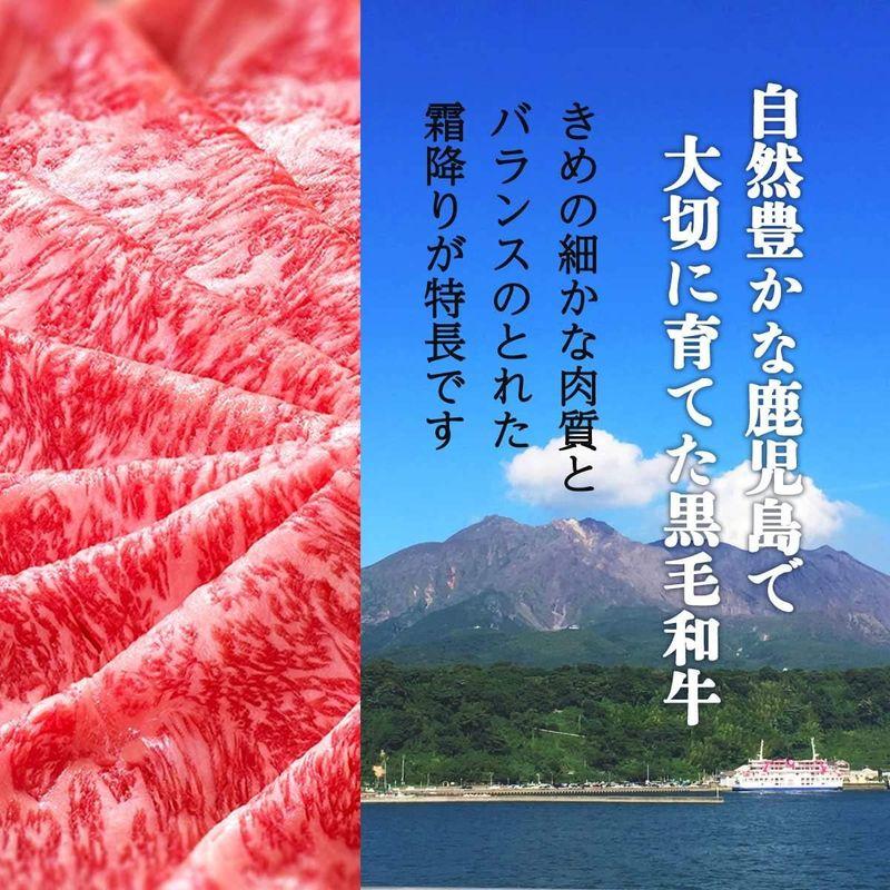 和牛 鹿児島県産 黒毛和牛 ロース肉 (A5ランク) グルメ・スタジアム 500g