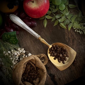 罕見法國路易16風格純銀柄 鍍金黃銅 乾貨鏟/咖啡豆鏟