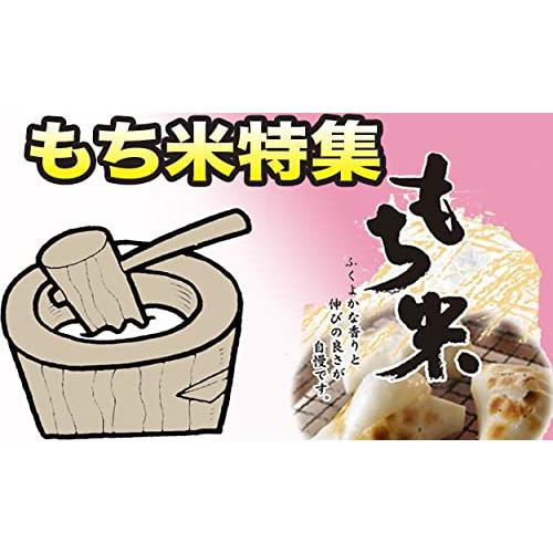 弁次郎商店 新潟県産 わたぼうし 玄米 水稲もち米 １等 令和4年産 (30kg) もち米界のお姫様