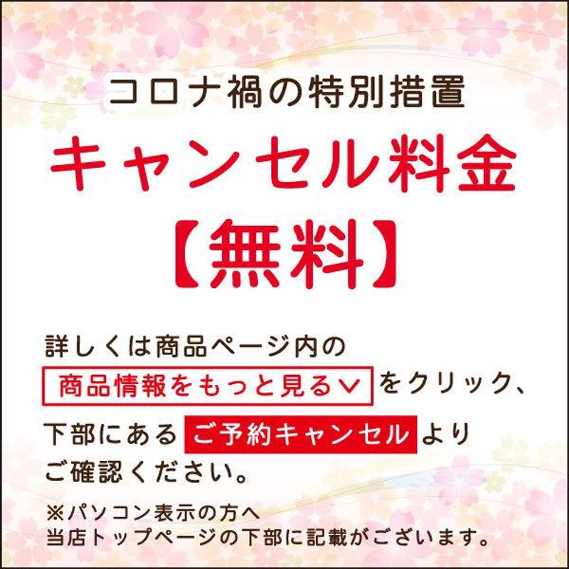 レンタル 訪問着 結婚式 着物レンタル お茶会 お呼ばれ 食事会 七五三