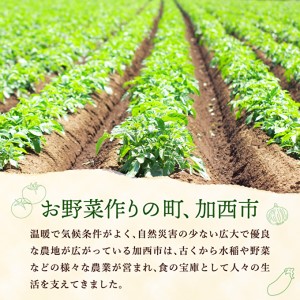 野菜セット 加西市産 季節の野菜詰め合わせセット 季節の野菜10品程度