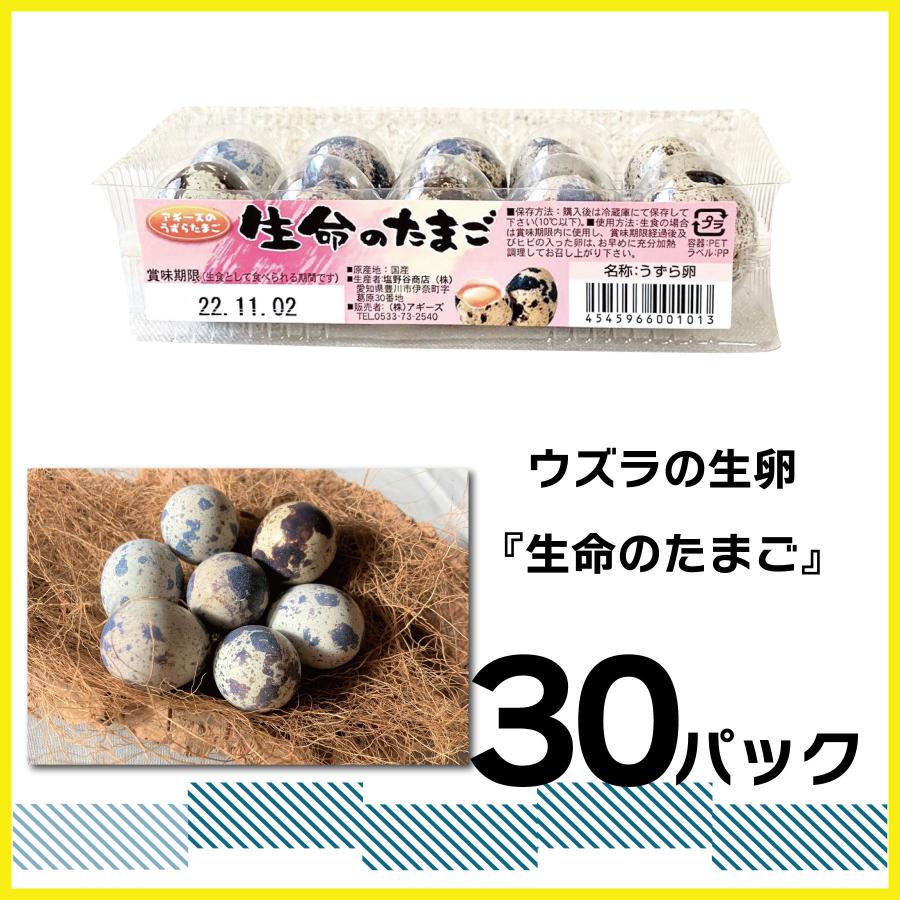 食用 豊橋名産 うずらの生卵 『生命のたまご』10個入り 30パック 業務用 うずらの卵 生たまご