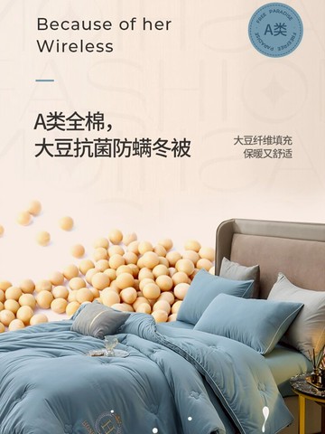 A類大豆纖維被子冬被芯全棉單人春秋冬天棉被加厚保暖空調被純棉