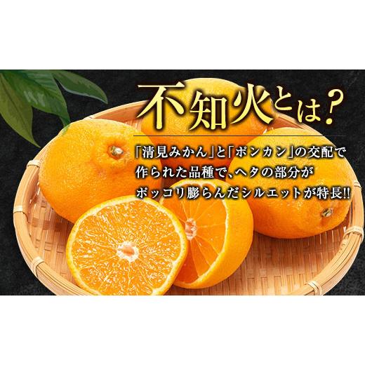 ふるさと納税 宮崎県 日南市 数量限定 不知火 (化粧箱入り)計6kg以上(2箱) フルーツ 果物 柑橘 みかん 黒箱 国産 食品 デザート くだもの 果実 蜜柑 送料無料_…