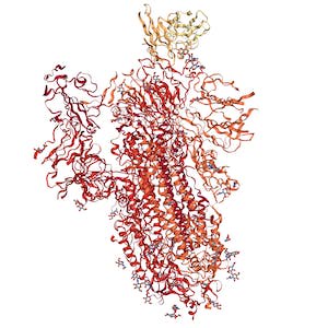 Access Bioinformatics Databases with Biopython
