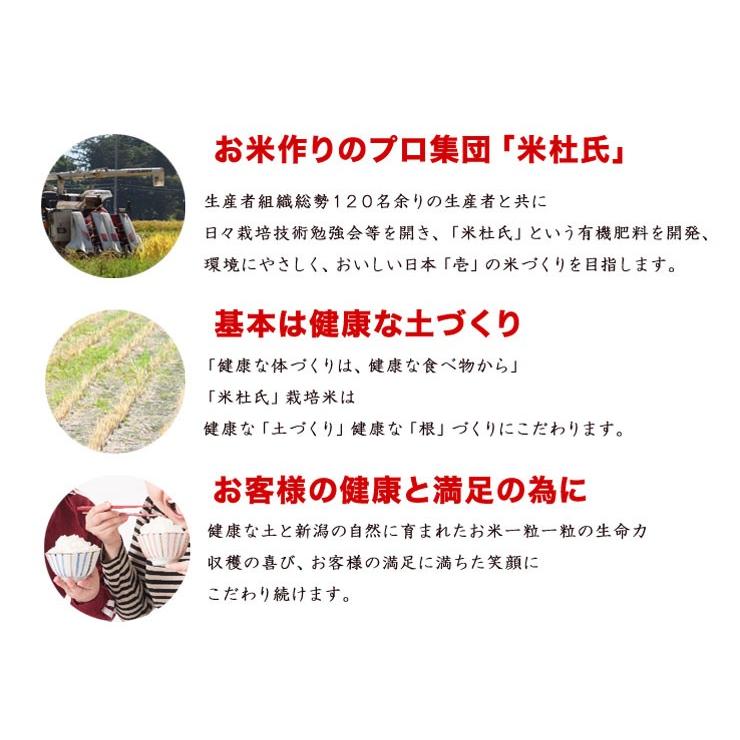 新米 令和５年産 ★ お米 米 新潟県産 こしいぶき 10kg (5kg×2) 令和5年産  白米 米杜氏ブランド 精米日の新しいお米です