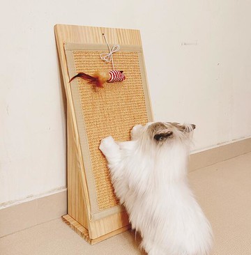 劍麻貓抓板立式磨爪器抓墊耐磨防貓撓抓沙發不掉屑貓咪玩具貓玩具 99購物節