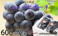 ニューピオーネ 約600g×2房 岡山県産 葡萄 ぶどう 果物 フルーツ 2023年 先行予約