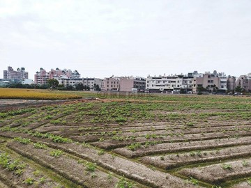 大雅市區旁便宜農地567坪.民生VS神林路｜台中市大雅區自強段