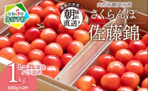  鶴岡市産 佐藤錦 L～2Lサイズ混合 バラ詰め 1kg（500g×2P） さくらんぼ　大膳農園