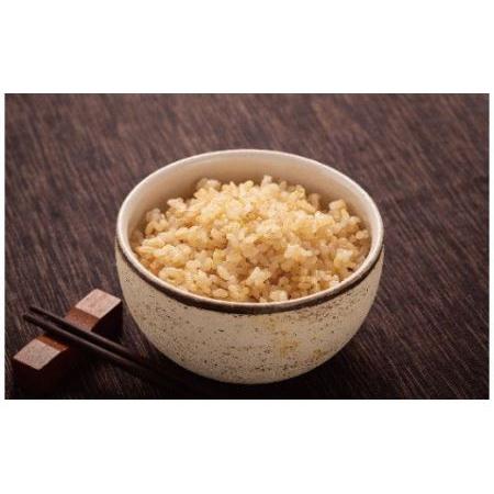 ふるさと納税 令和5年産 特Aランク米 ゆめぴりか 玄米 10kg（5kg×2袋）雪冷気 籾貯蔵 北海道 雪中米 北海道沼田町