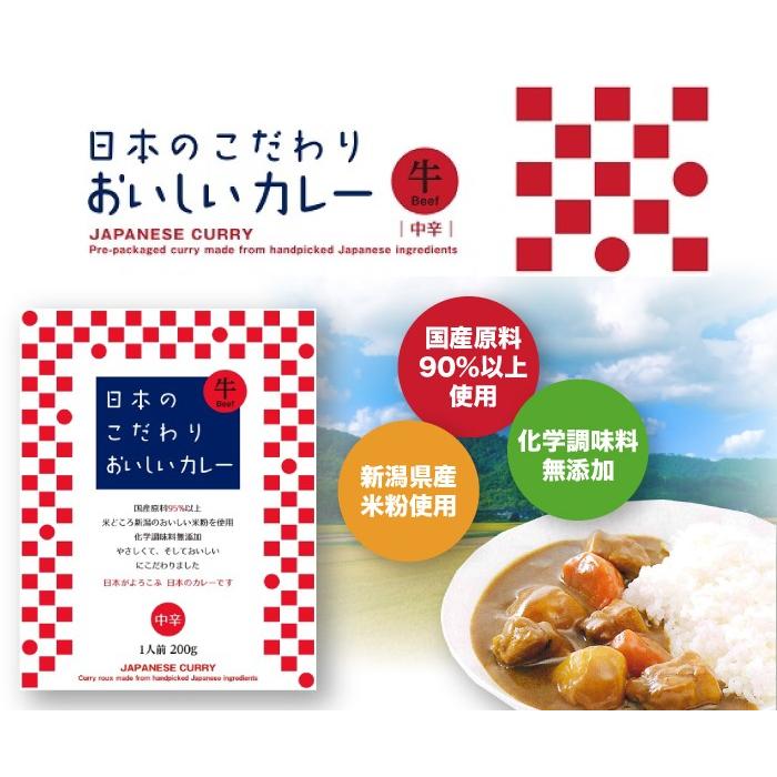 日本のこだわりおいしいカレー 3種6個ギフトセット