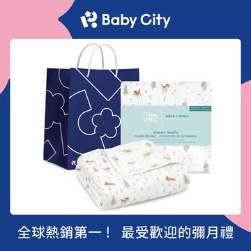 【aden+anais】經典四層紗厚毯乙入/迪士尼夥伴 ✨送禮首選✨新生禮✨彌月禮✨育兒好物