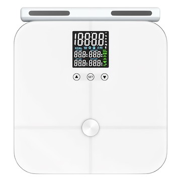 八電極體脂計 G48-BT 單色 智能藍牙體重計 體脂測量 家用健康管理  1個