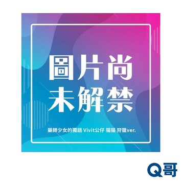 FANS 代理版 藥師少女的獨語 Vivit公仔 貓貓 狩獵ver. 公仔 藥師少女 Vivit 狩獵 景品 模型 Q哥