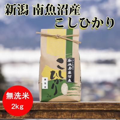 ふるさと納税 南魚沼市 南魚沼産こしひかり(無洗米)