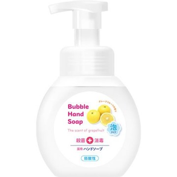 日本【第一石鹼】 泡沫洗手乳   250ml 二入組合
