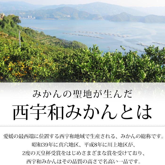 みかん 愛媛県産 みなの共選のみかん 特秀品 約5kg S〜Lサイズ 40〜60個