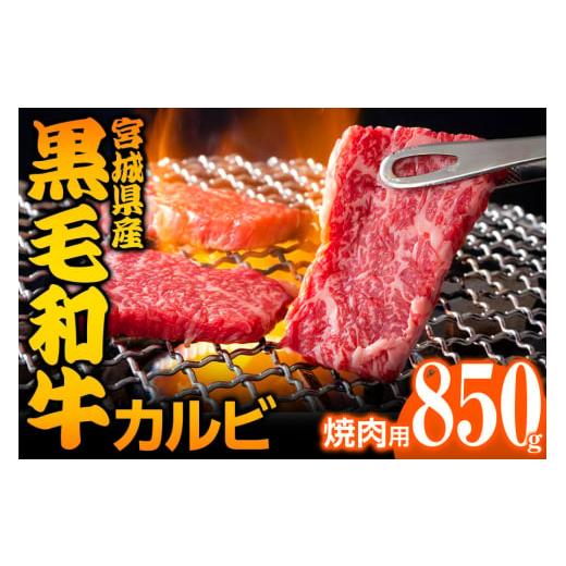 ふるさと納税 宮城県 大郷町 宮城県産 黒毛和牛カルビ焼肉用 850g｜国産 牛肉 バーベキュー [0050]