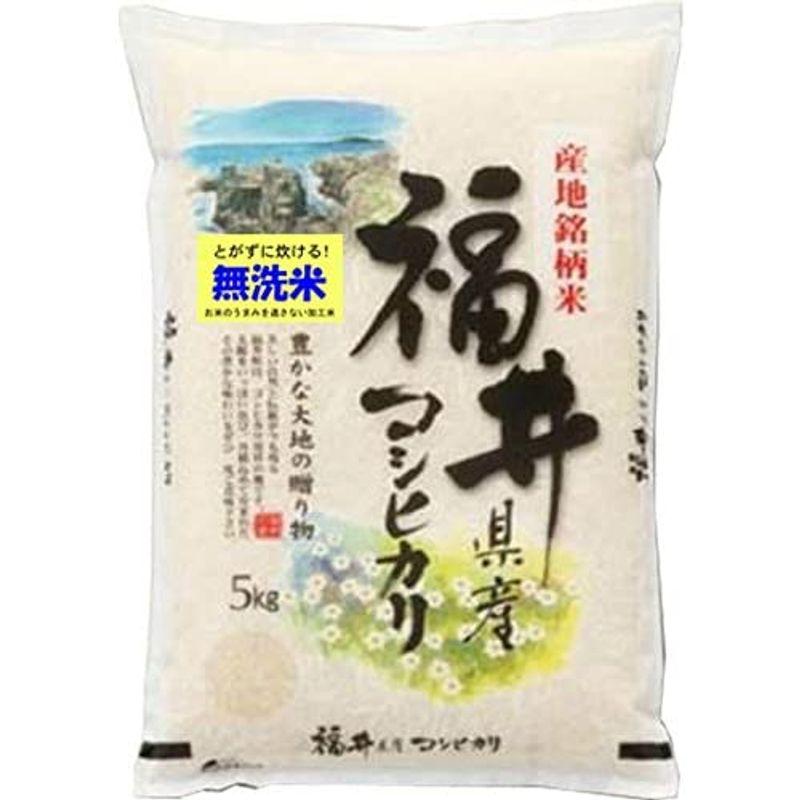 無洗米 令和4年産 福井産 コシヒカリ 5kg 出荷日精米