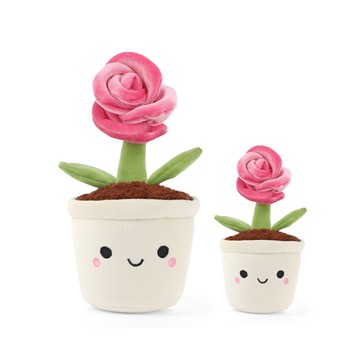 Keeleco Botanical Garden Rose Plant 玫瑰花