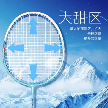 ⭐專注戶外⭐賽獅龍羽毛球拍鐵合金成人兒童學生雙拍初學套裝戶外直拍超輕