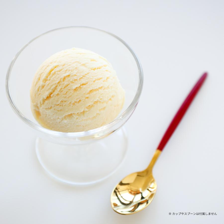 食品サンプル 食べられない アイス バニラ アイスクリーム