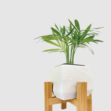 │ 居家小物 │托盆竹架 - 盆栽支架 竹製 墊高腳架