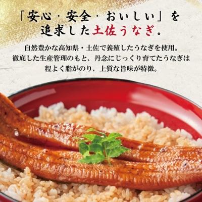 ふるさと納税 四万十市 うなぎ蒲焼　ハーフ4袋 BC