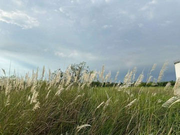 臨新營轉運站約354.3坪產業專業用地(三)｜台南市新營區新茄苳段