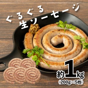 生 ソーセージ 冷凍 豚肉 計 1kg 小分け 200g 5袋 バーベキュー