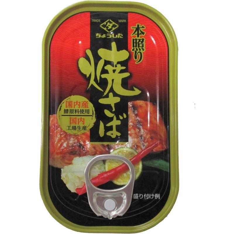 田原缶詰 本照り焼さば(国内産) EO缶 100g ×10個