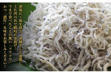 釜揚げちりめん（しらす）約1kg（約500ｇ×2袋） 鮮度日本一を目指します！浜で瞬時に釜揚げ