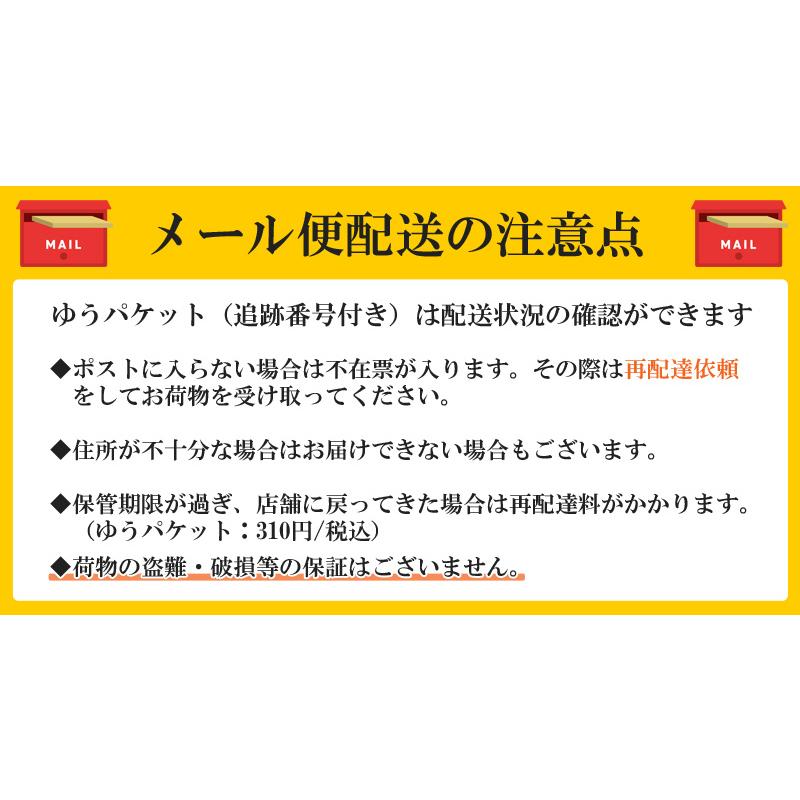 ホタテ 干し貝柱 北海道産 ほたて 100g 無添加 SASサイズ 帆立 乾燥 貝柱 メール便