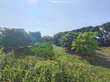 雲林土庫祖傳狀元好福氣漂亮休閒農地｜雲林縣土庫鎮崙內