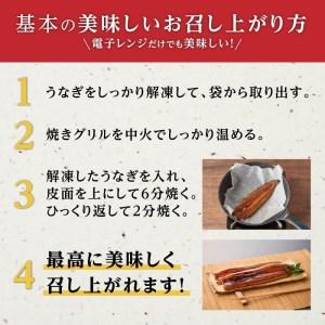 ふるさと納税 横山桂一さんのS級鰻　大５尾（計750g） 鹿児島県大崎町