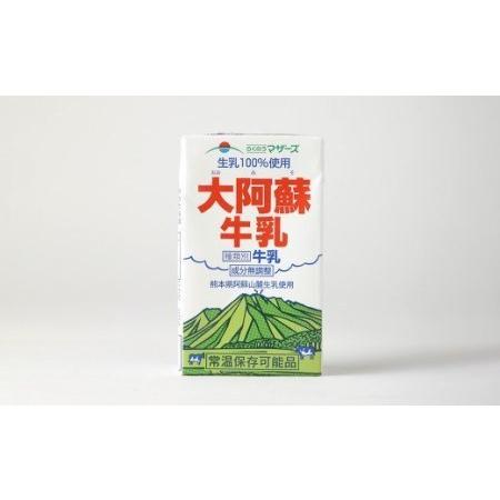 ふるさと納税 大阿蘇牛乳 計288本（250ml×24本入り×12ヶ月）生乳100% らくのうマザーズ 熊本県菊池市