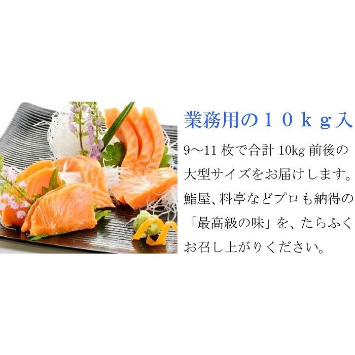 サーモン 刺身 トラウト 約10kg 冷凍 生食 手巻き 寿司 お造り 海鮮 料理 業務用 切り身 プレミアムグレード