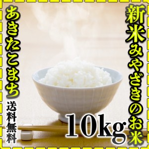 お米 米 10kg 白米 送料無料 宮崎県産 あきたこまち 新米 令和5年産 5kg2個 みやざきのお米 富田商店 とみた商店