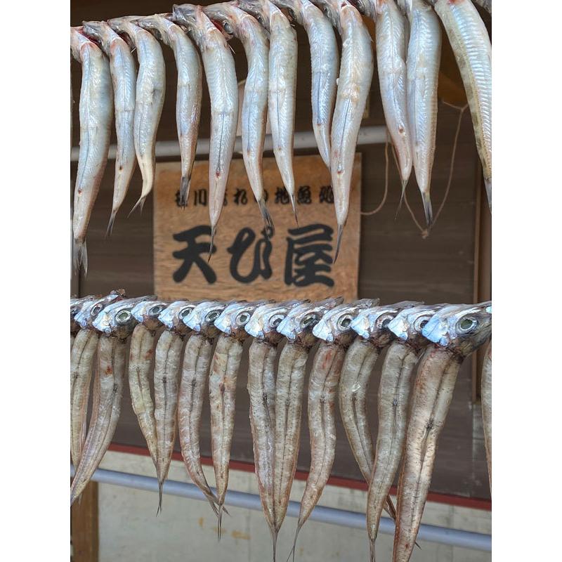 魚干物 新潟の魚 ニギス ギスの一夜干し